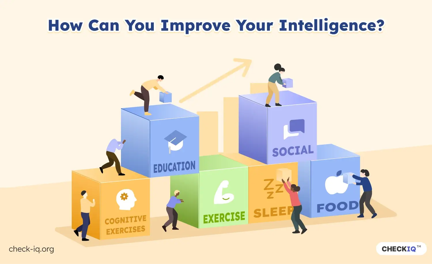 People building blocks labeled education, social, cognitive exercises, exercise, sleep, and food to improve intelligence