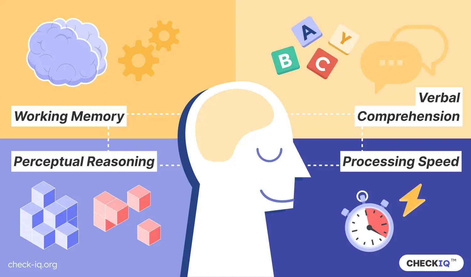 Skills tested in an IQ test: perceptual reasoning, working memory, verbal comprehension, and processing speed