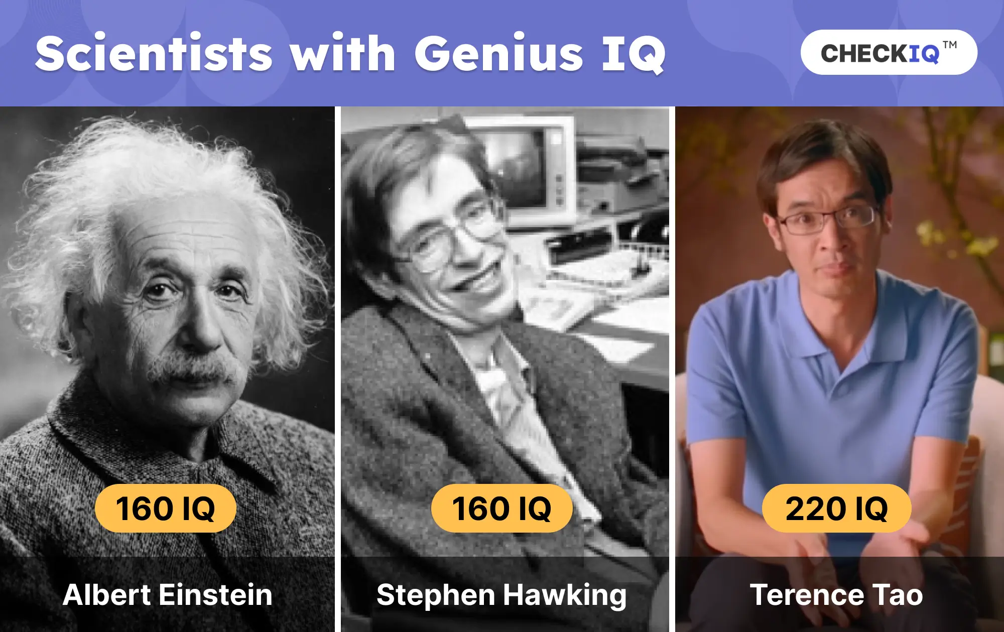 Scientists with genius IQ score examples: Albert Einstein, Stephen Hawking, and Terence Tao