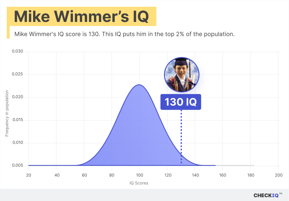 Mike Wimmer's IQ normal distribution chart