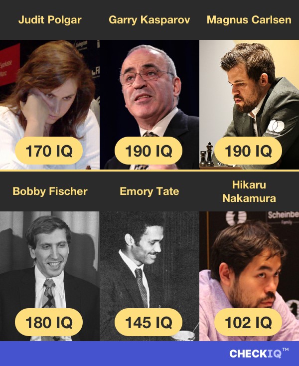 Judit Polgar's IQ compared to other Chess Player's IQs