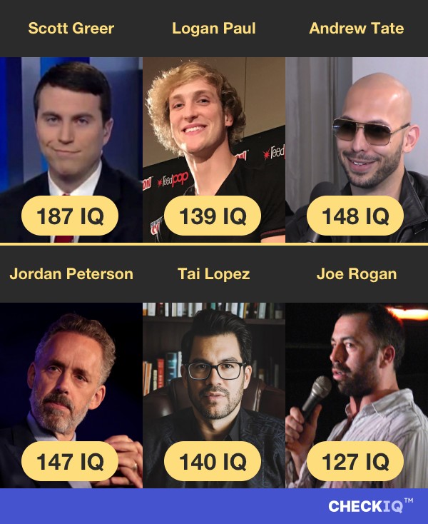 Scott Greer's IQ compared to other internet personalities