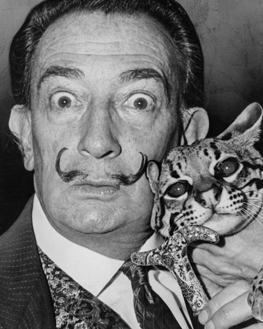 profile picture of Salvador Dali