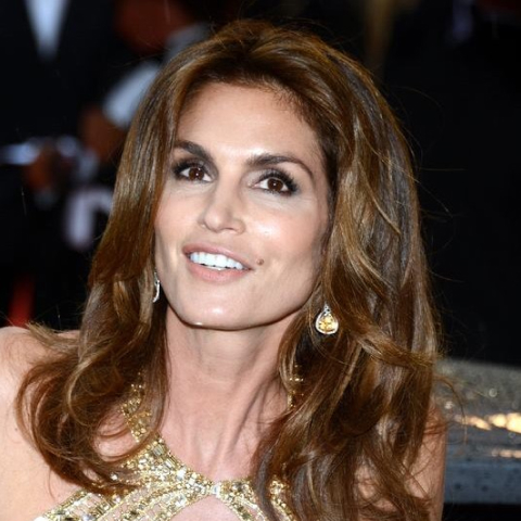 Cindy Crawford mugshot photo