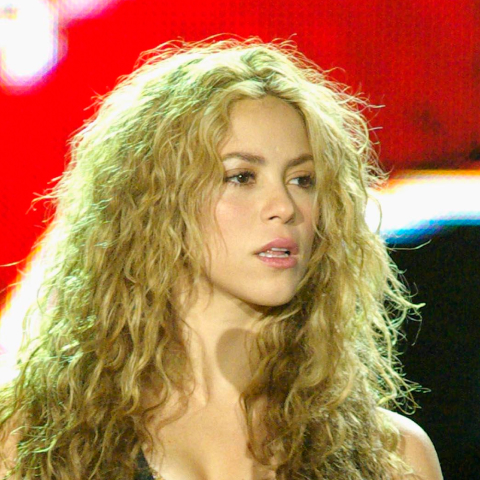 Shakira mugshot photo