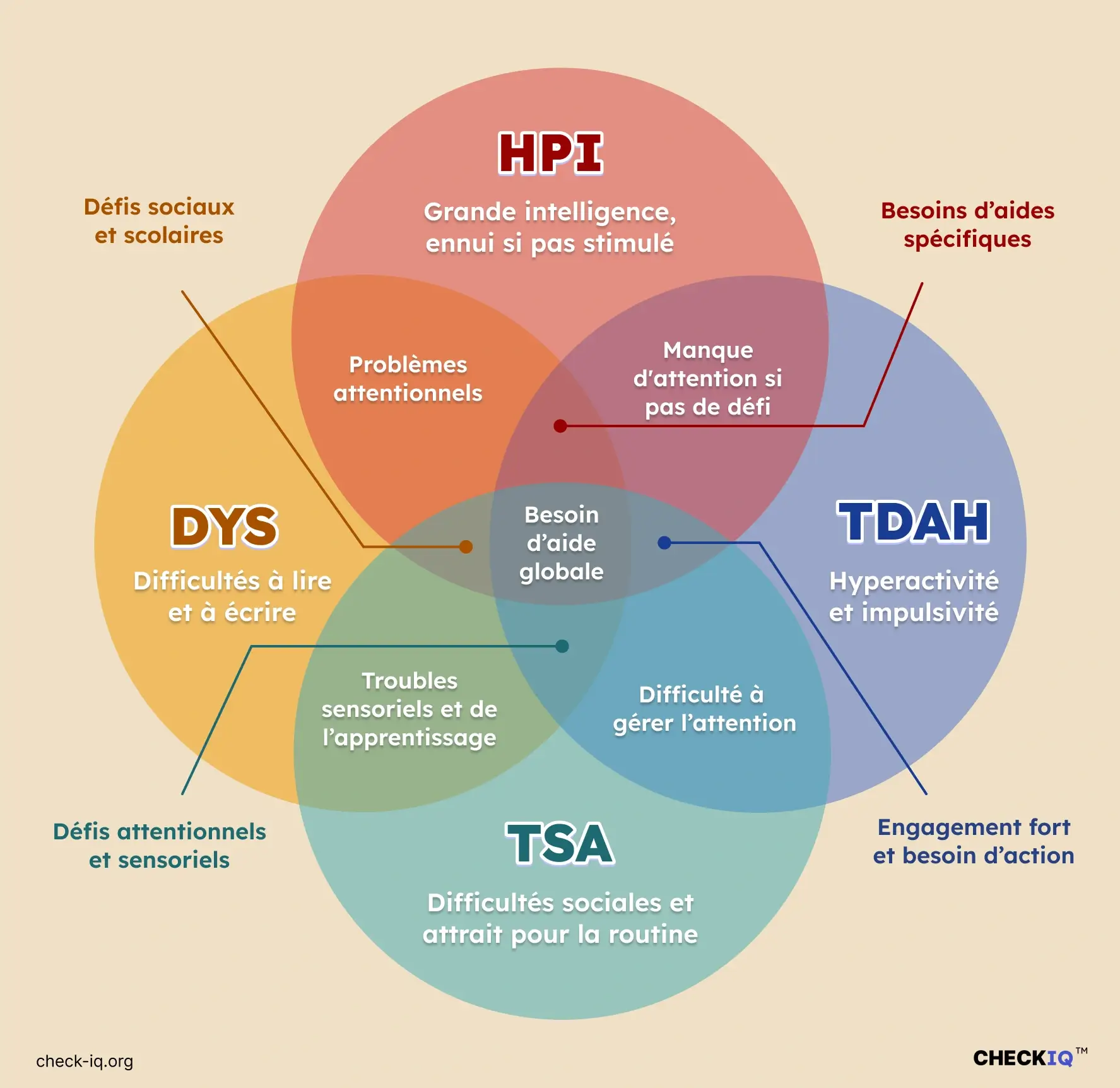 HPI TDAH TSA DYS points communs et différences