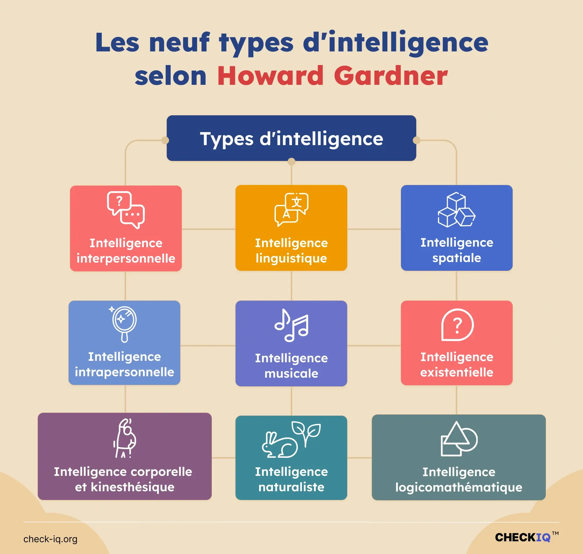 Types d’intelligence selon la théorie des intelligences multiples